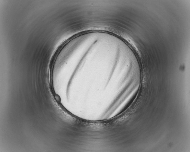 X0000089961080200707271856