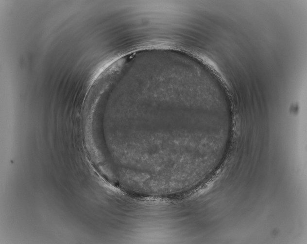 X0000089961081200707271856