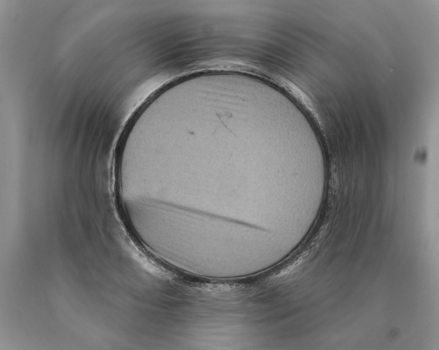 X0000089961082200707271856