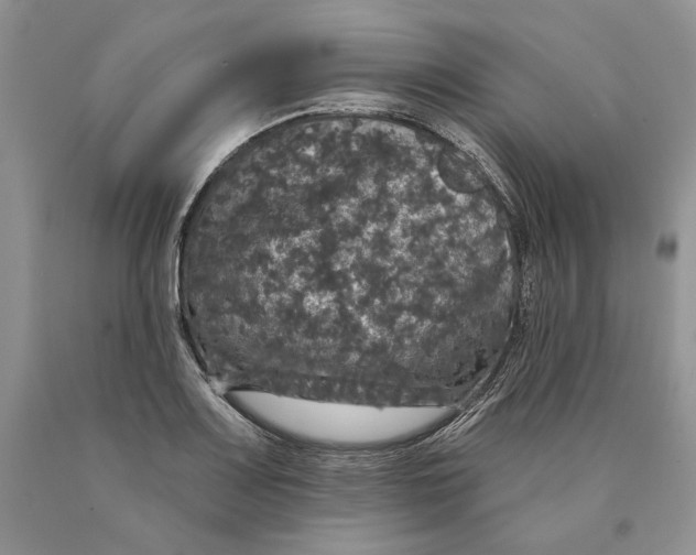 X0000089961083200707271856