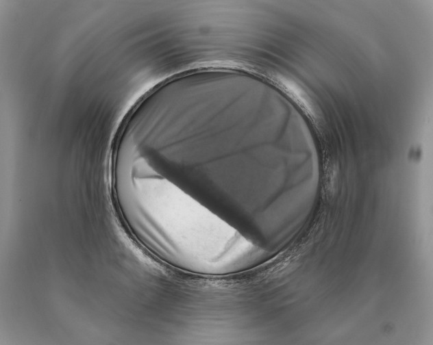 X0000089961084200707271856