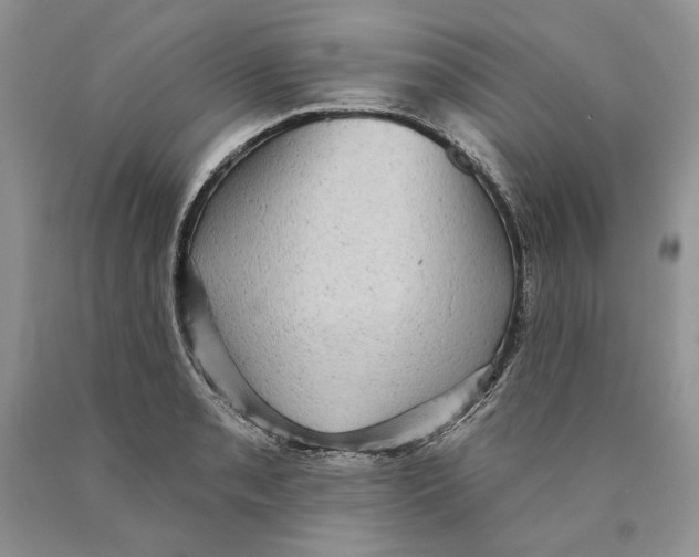 X0000089961085200707271856