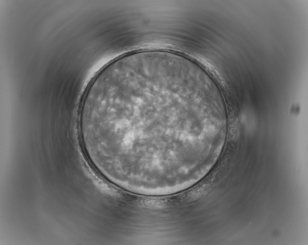 X0000089961086200707271856