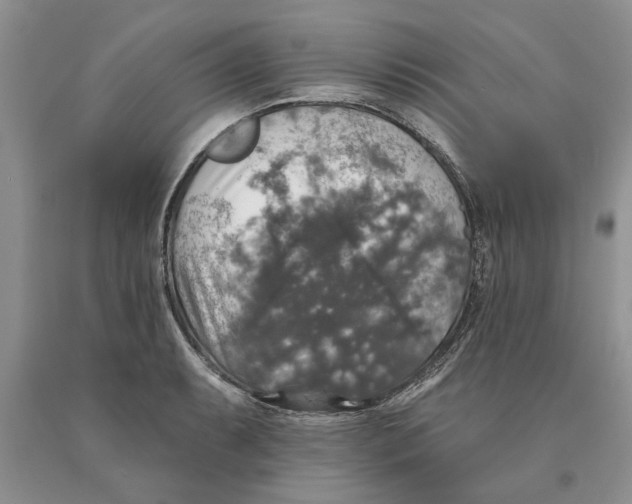 X0000089961087200707271856