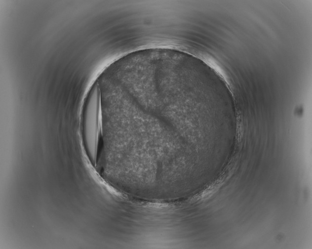 X0000089961088200707271856