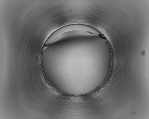 X0000089961089200707271856