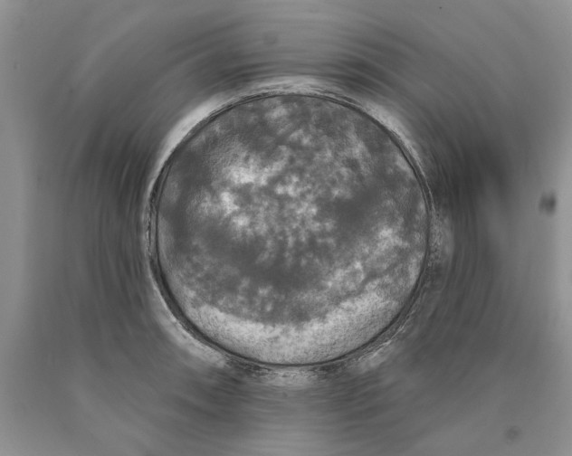 X0000089961090200707271856