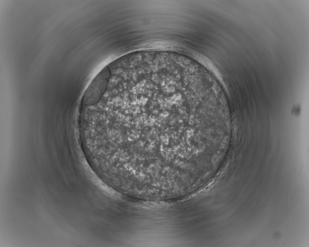 X0000089961091200707271856