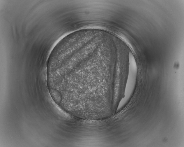 X0000089961092200707271856