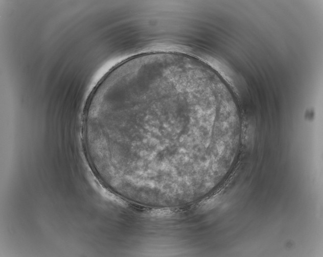 X0000089961094200707271856