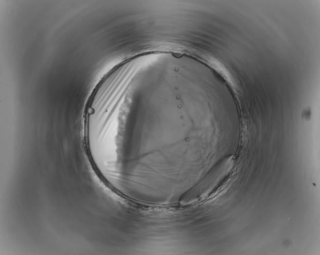 X0000089961095200707271856