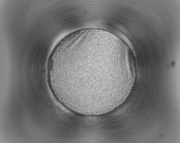 X0000089961096200707271856