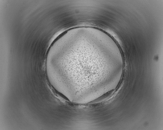 X0000089961097200707271856