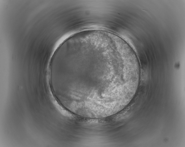 X0000089961098200707271856