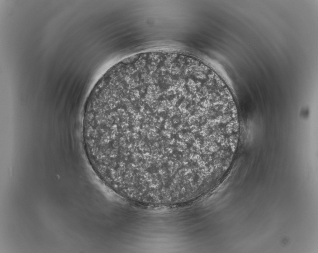 X0000089961099200707271856