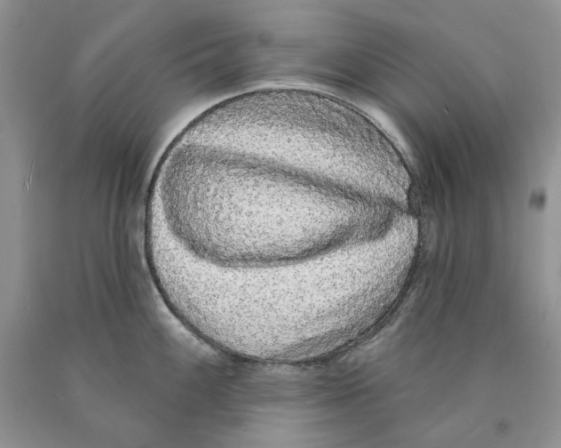 X0000089961100200707271856