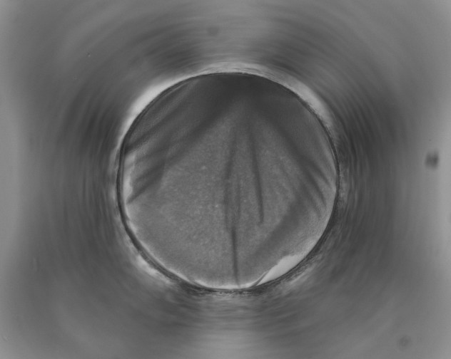 X0000089961102200707271856