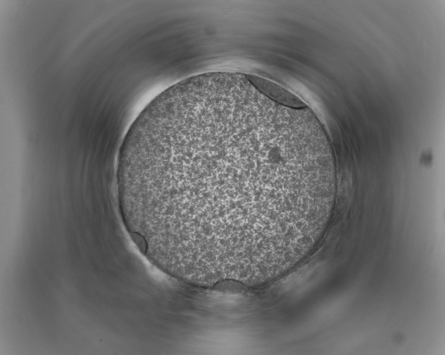 X0000089961103200707271856