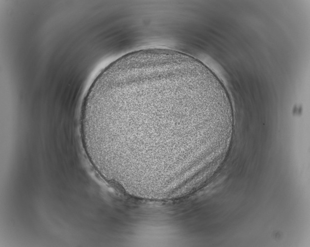 X0000089961104200707271856