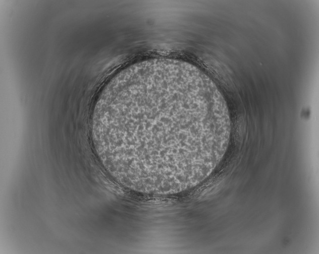 X0000089961105200707271855