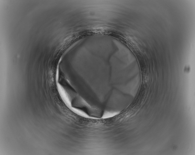 X0000089961106200707271855