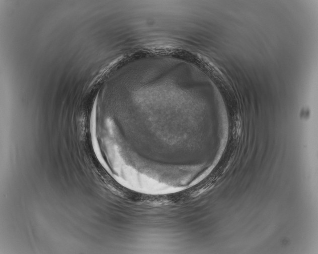 X0000089961108200707271855