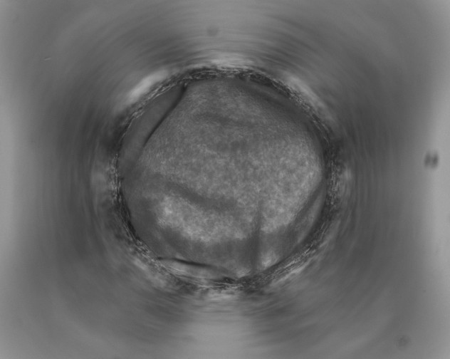 X0000089961110200707271855