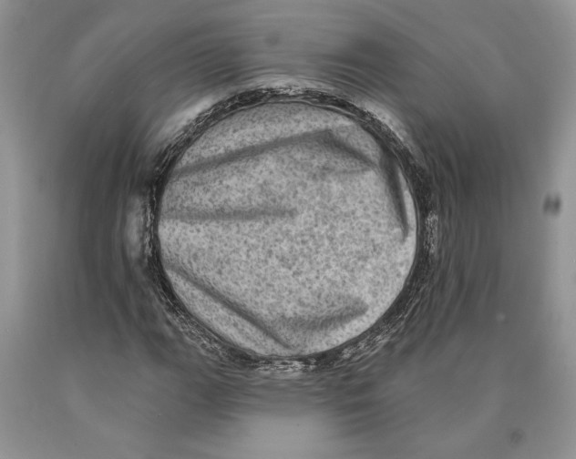 X0000089961111200707271855