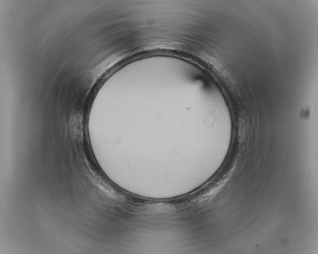 X0000089961113200707271855