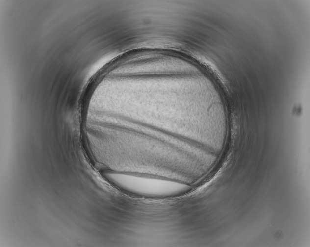 X0000089961114200707271855