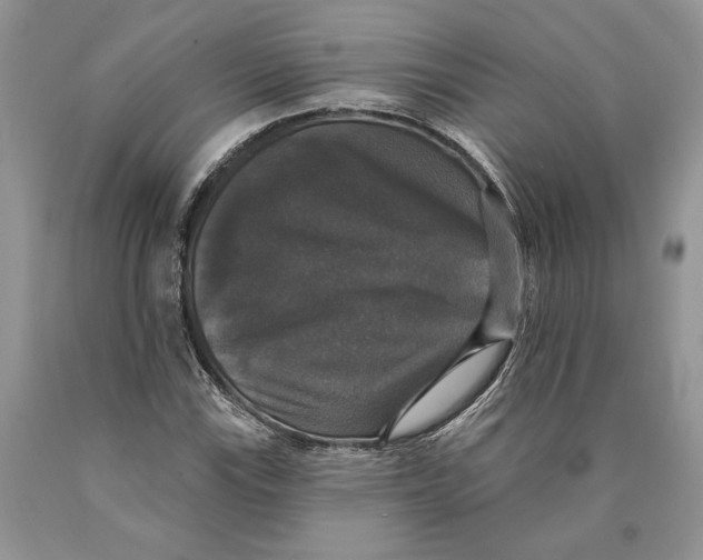 X0000089961115200707271855