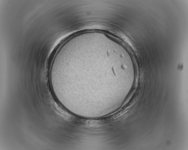 X0000089961116200707271855