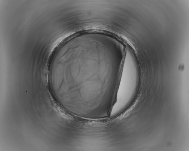 X0000089961117200707271855