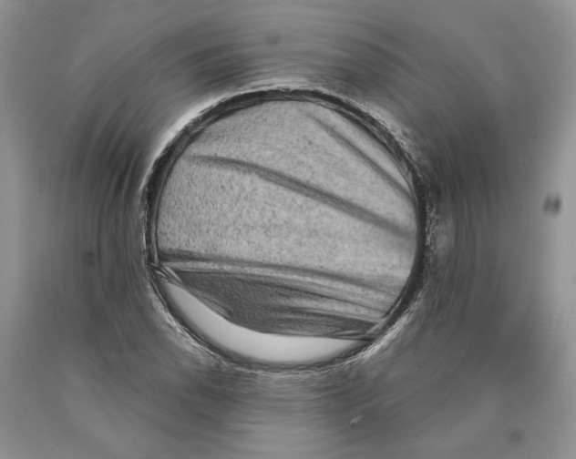 X0000089961118200707271855