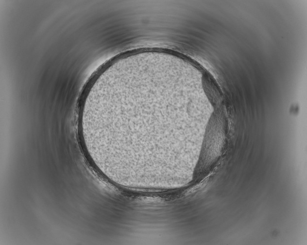 X0000089961119200707271855