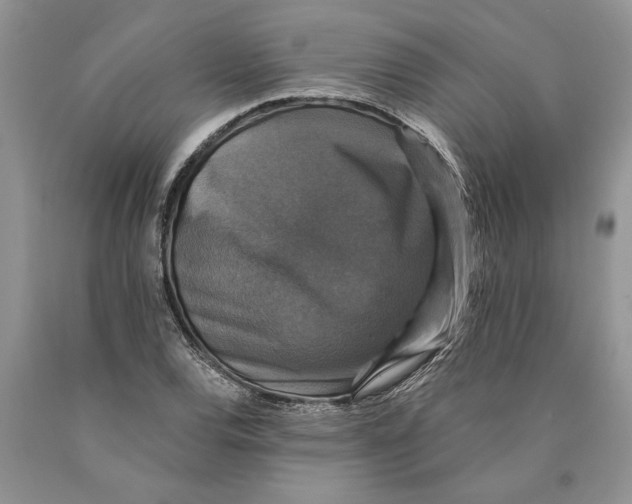 X0000089961120200707271855