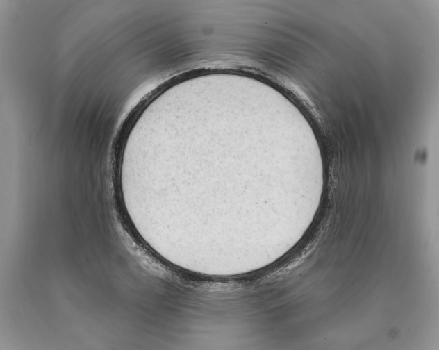 X0000089961122200707271855