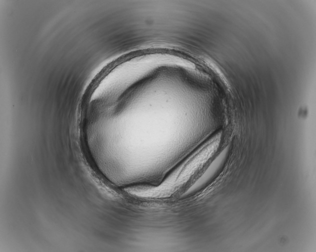 X0000089961124200707271855