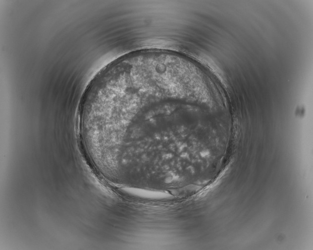 X0000089961125200707271855