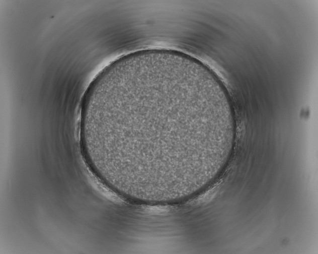 X0000089961126200707271855