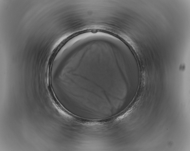 X0000089961127200707271855