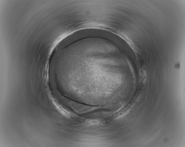 X0000089961128200707271855