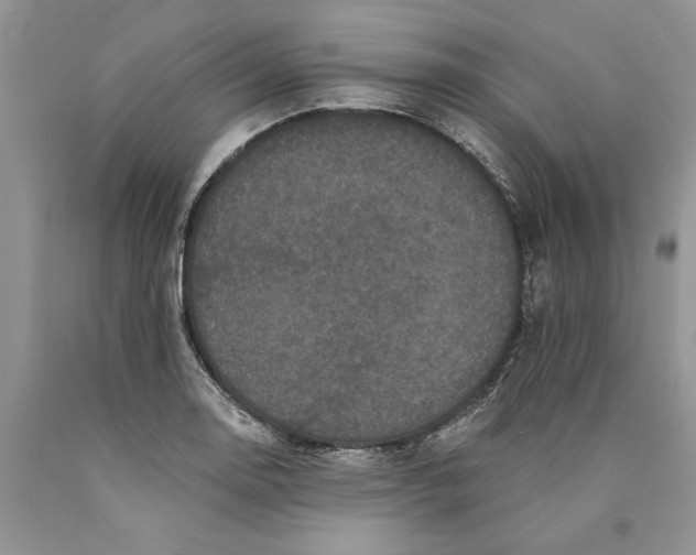 X0000089961130200707271855