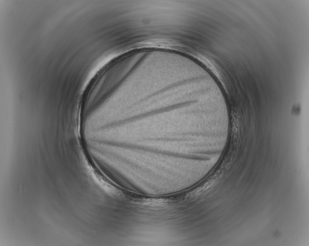 X0000089961131200707271855