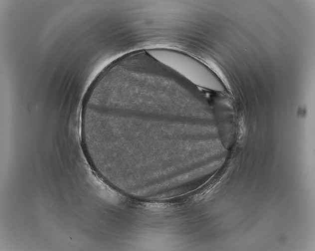 X0000089961132200707271856