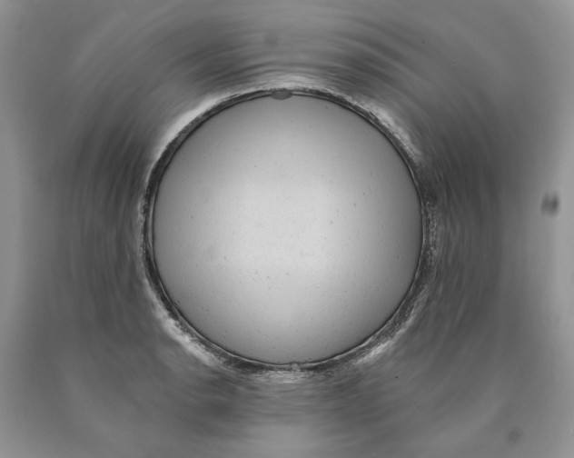 X0000089961134200707271856