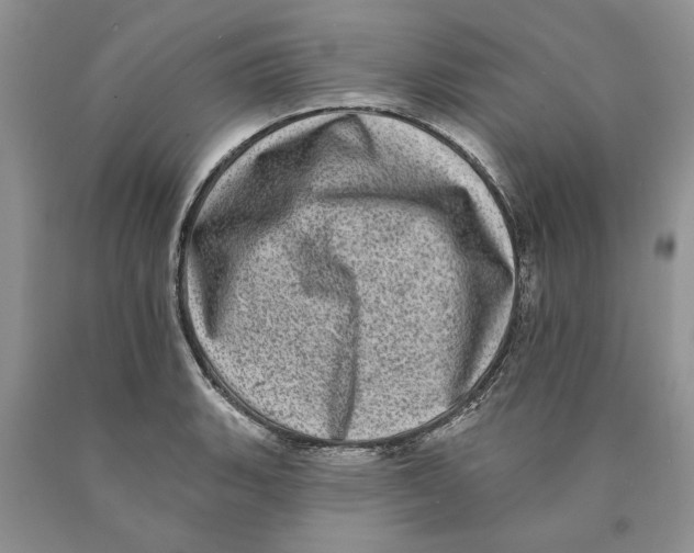 X0000089961135200707271856