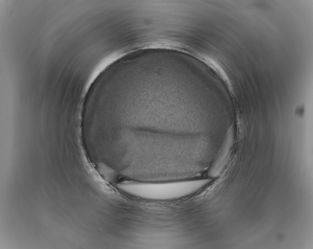 X0000089961138200707271856