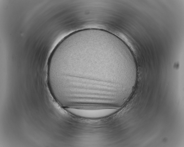 X0000089961140200707271856