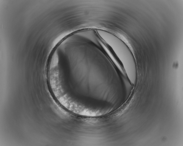 X0000089961141200707271856